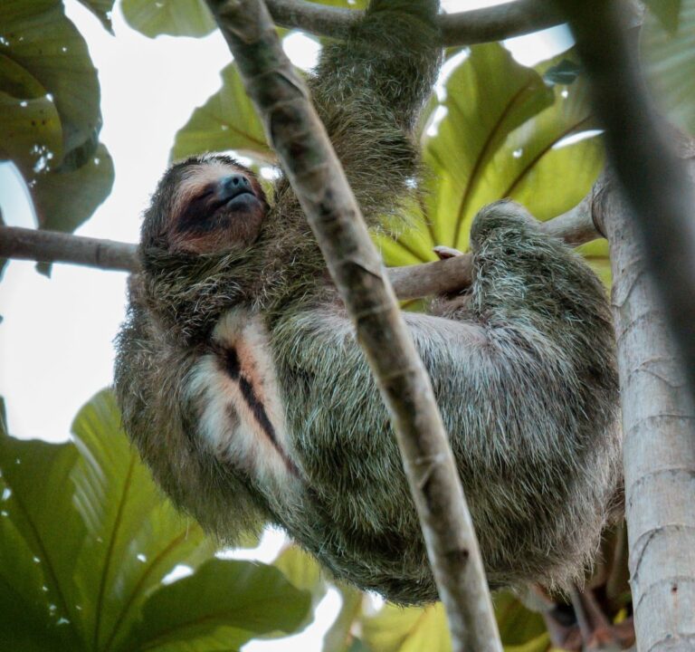 Costa Rica roadtrip - twee weken tour Costa Rica - Costa Rica Nomads