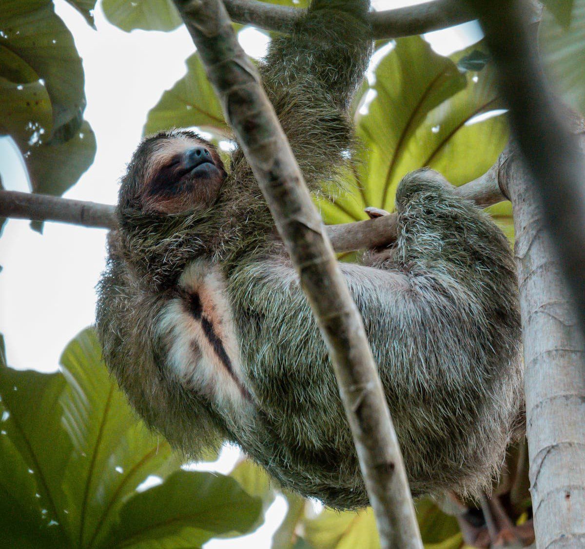 Costa Rica roadtrip - twee weken tour Costa Rica - Costa Rica Nomads