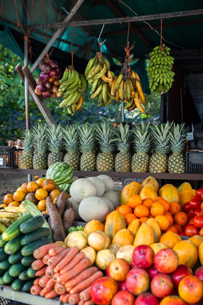 Costa Rica roadtrip - twee weken tour Costa Rica - Costa Rica Nomads